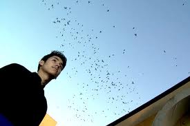 El celibato no produce desviaciones sexuales