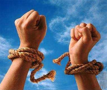 la verdad os hará libres