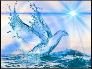 Espíritu Santo - paloma