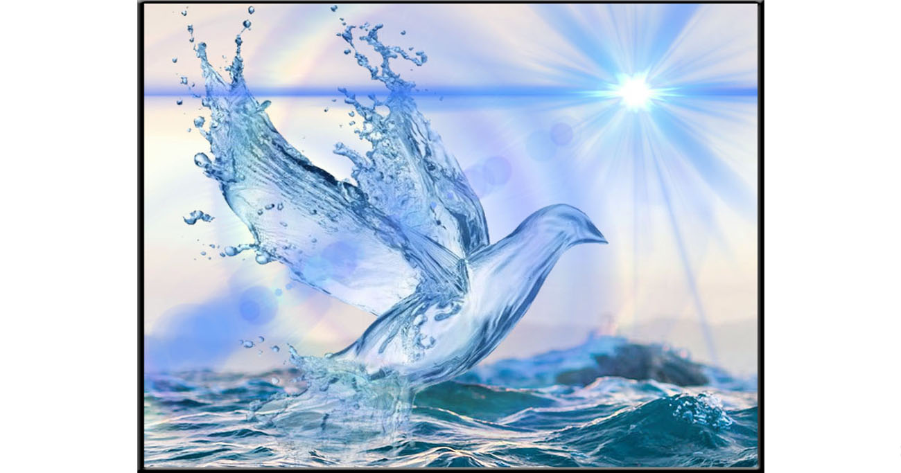 Portada: El Bautismo y la Trinidad