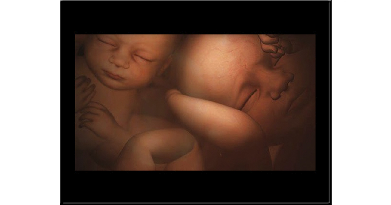 Portada: No hay vida después del parto