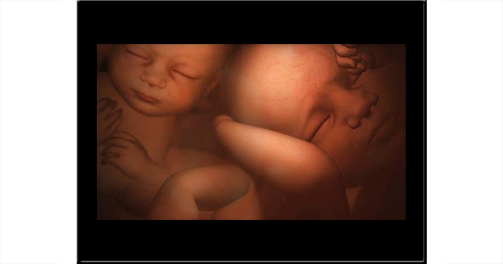 Vida después de la&nbsp;vida